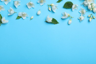 Flat lay composition with beautiful jasmine flowers on light blue background. Space for text