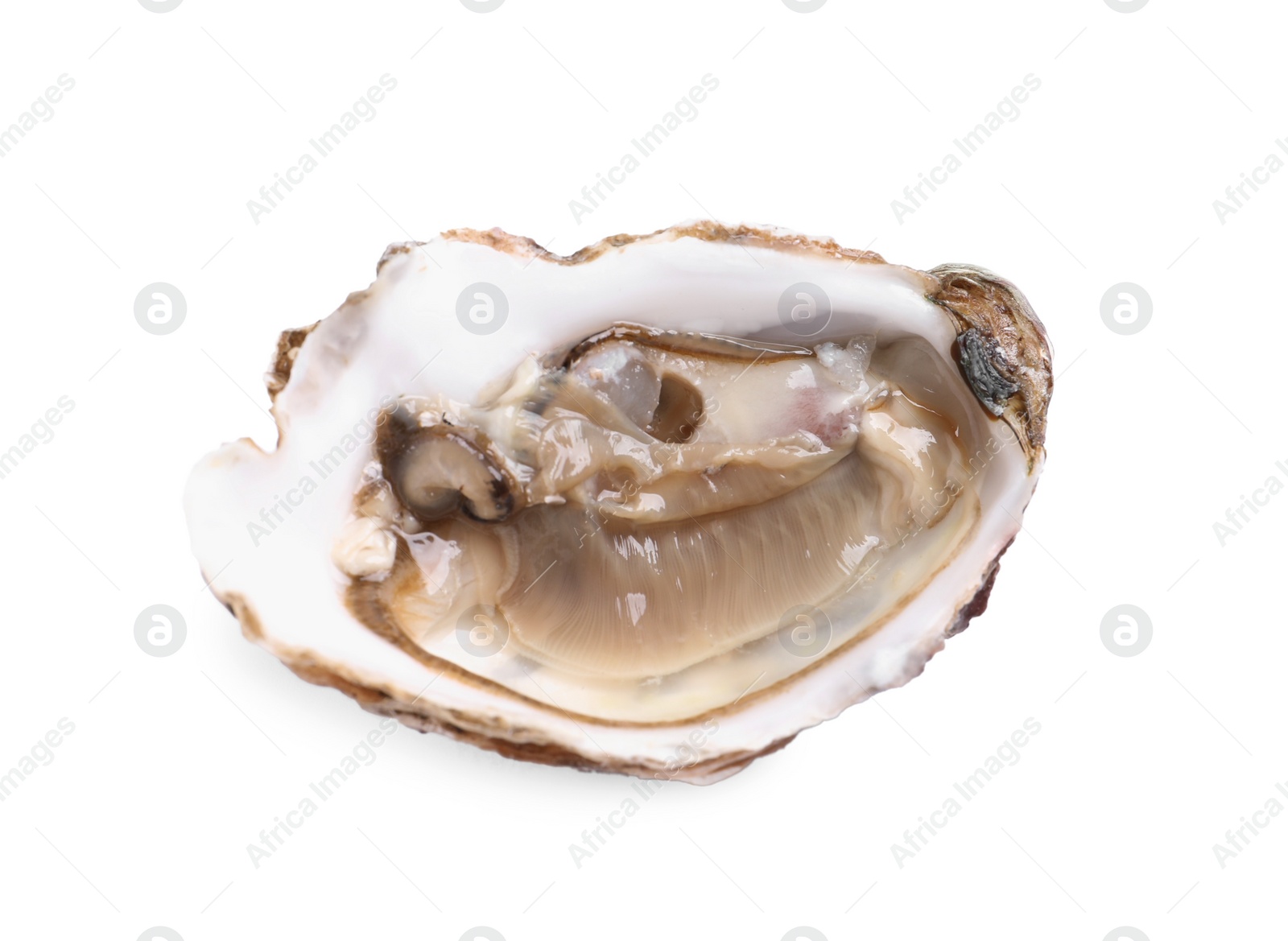 Photo of Fresh raw open oyster on white background