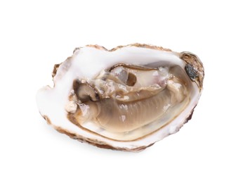 Fresh raw open oyster on white background