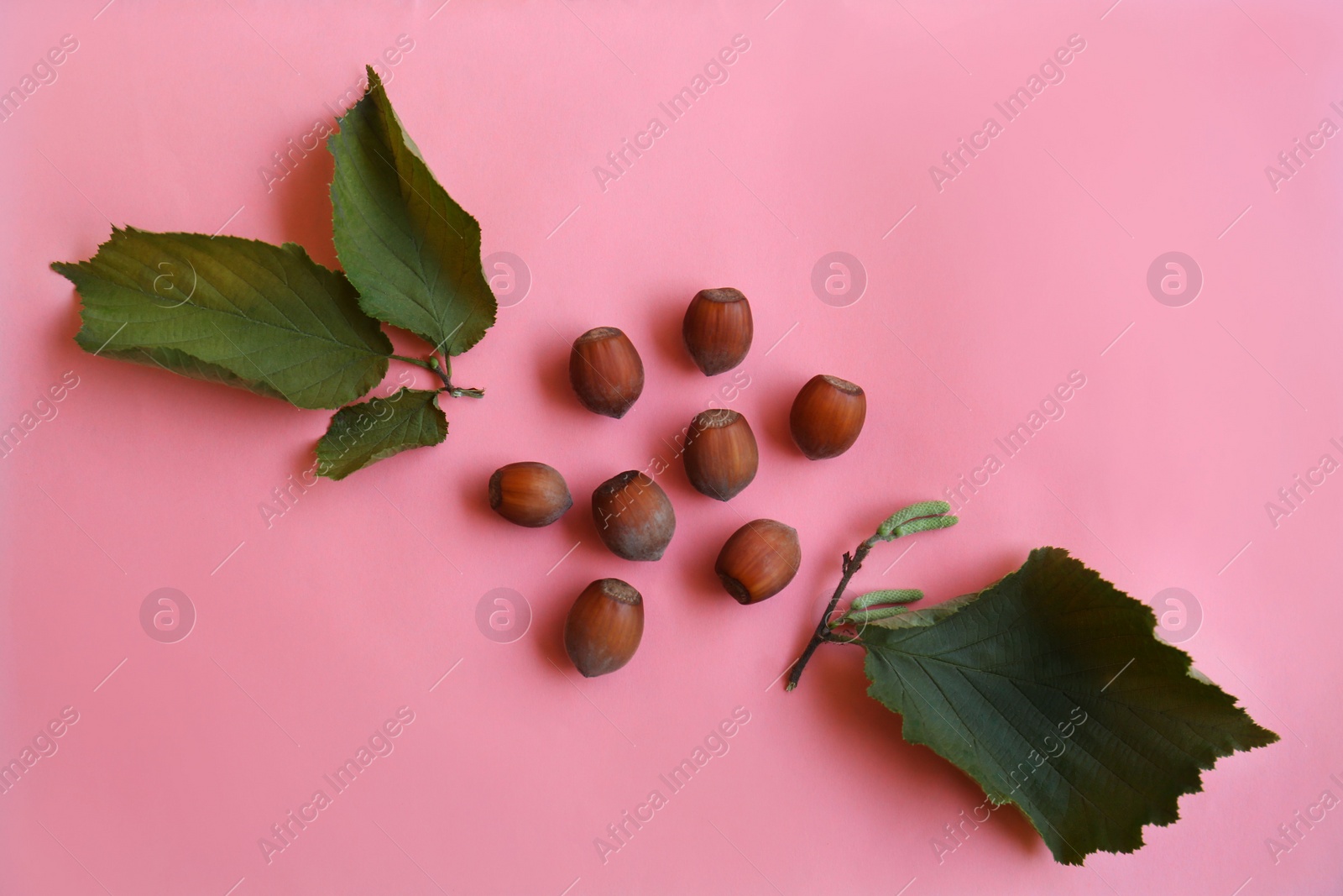 Photo of Hazelnuts and leaves on pink background, flat lay