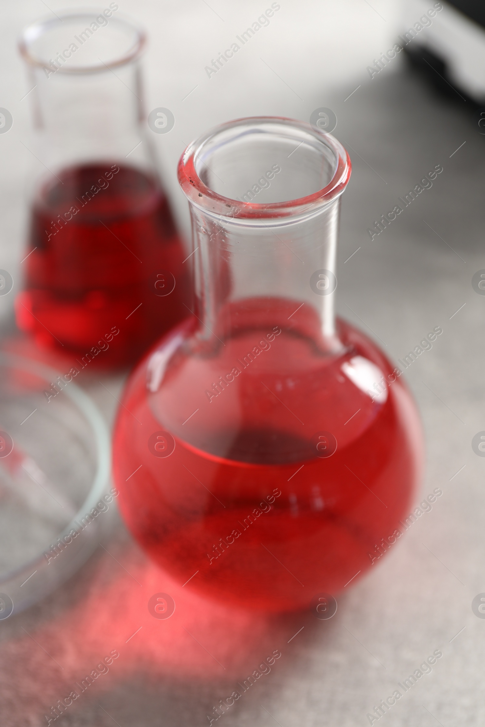 Photo of Laboratory analysis. Flasks with red liquid on light grey table, closeup