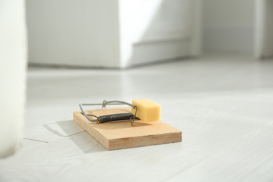 Photo of Mousetrap with piece of cheese on floor indoors. Pest control