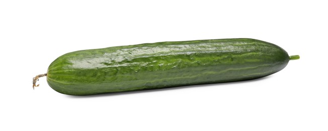 Photo of One long fresh cucumber isolated on white