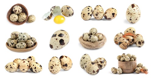 Image of Set with quail eggs on white background. Banner design