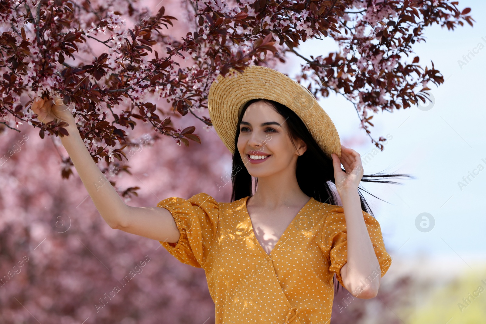 Photo of Pretty young woman with straw hat near beautiful blossoming trees outdoors. Stylish spring look