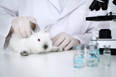Photo of Scientist with rabbit in chemical laboratory, closeup. Animal testing