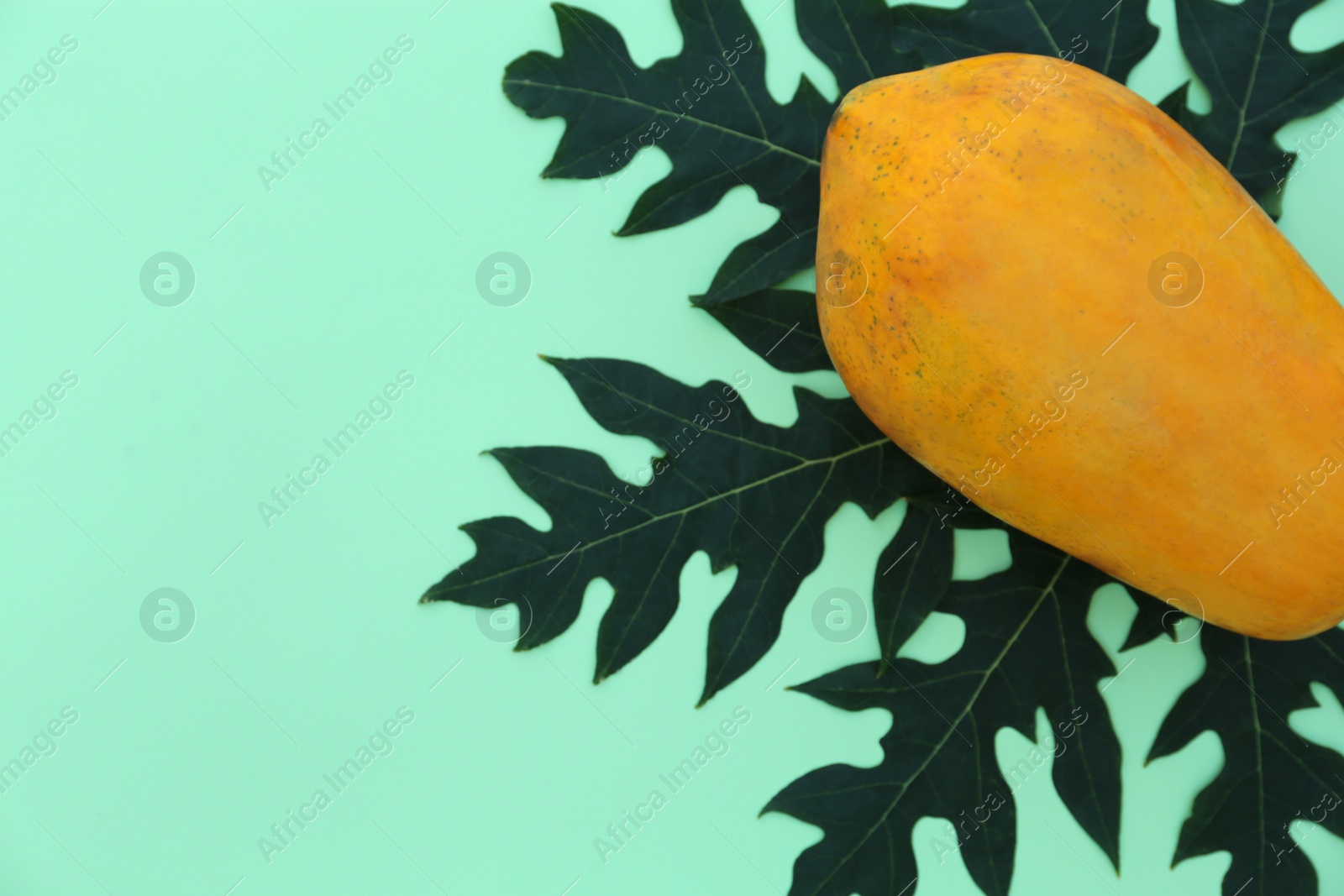 Photo of Fresh ripe papaya fruit and leaf on light green background, top view. Space for text