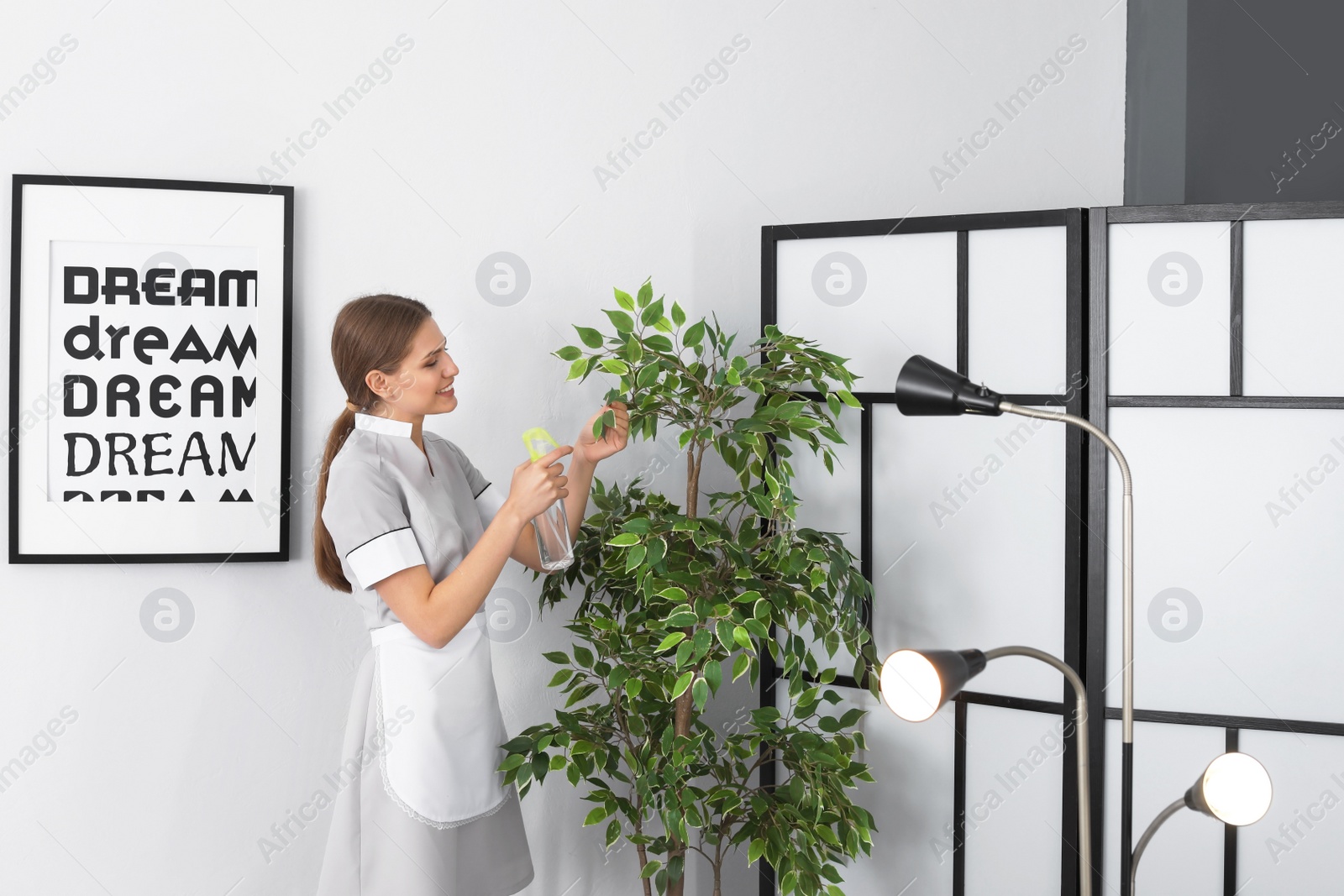 Photo of Young chambermaid spraying plant in room. Cleaning service