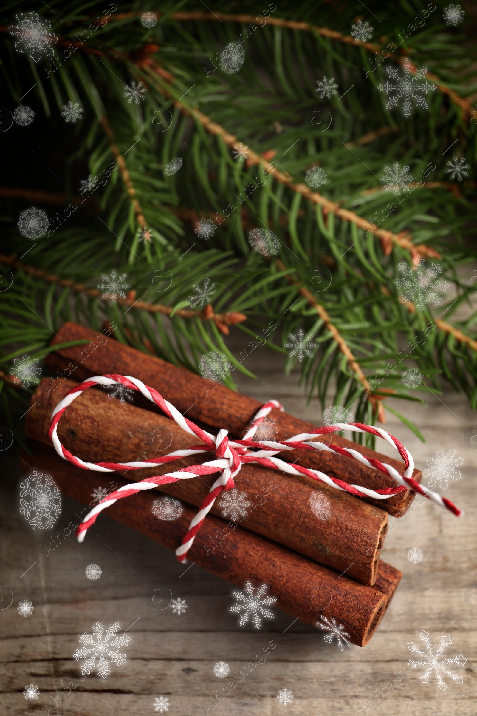 Image of Cinnamon sticks and fir tree branches on wooden table, closeup