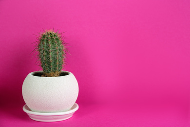 Photo of Potted cactus on violet background, space for text