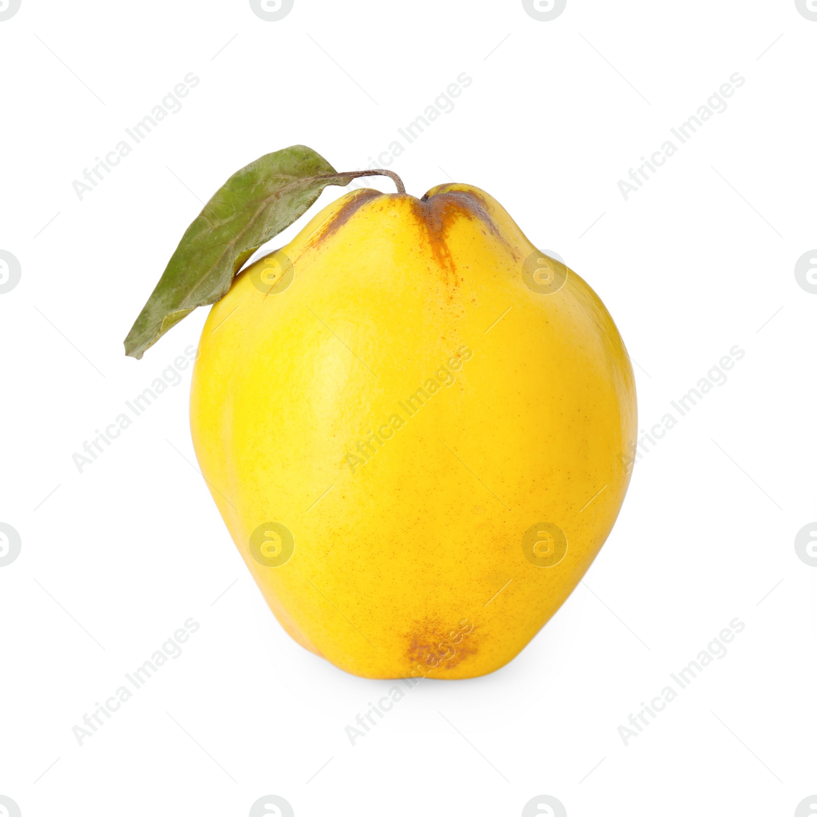 Photo of Fresh ripe quince fruit with leaf isolated on white