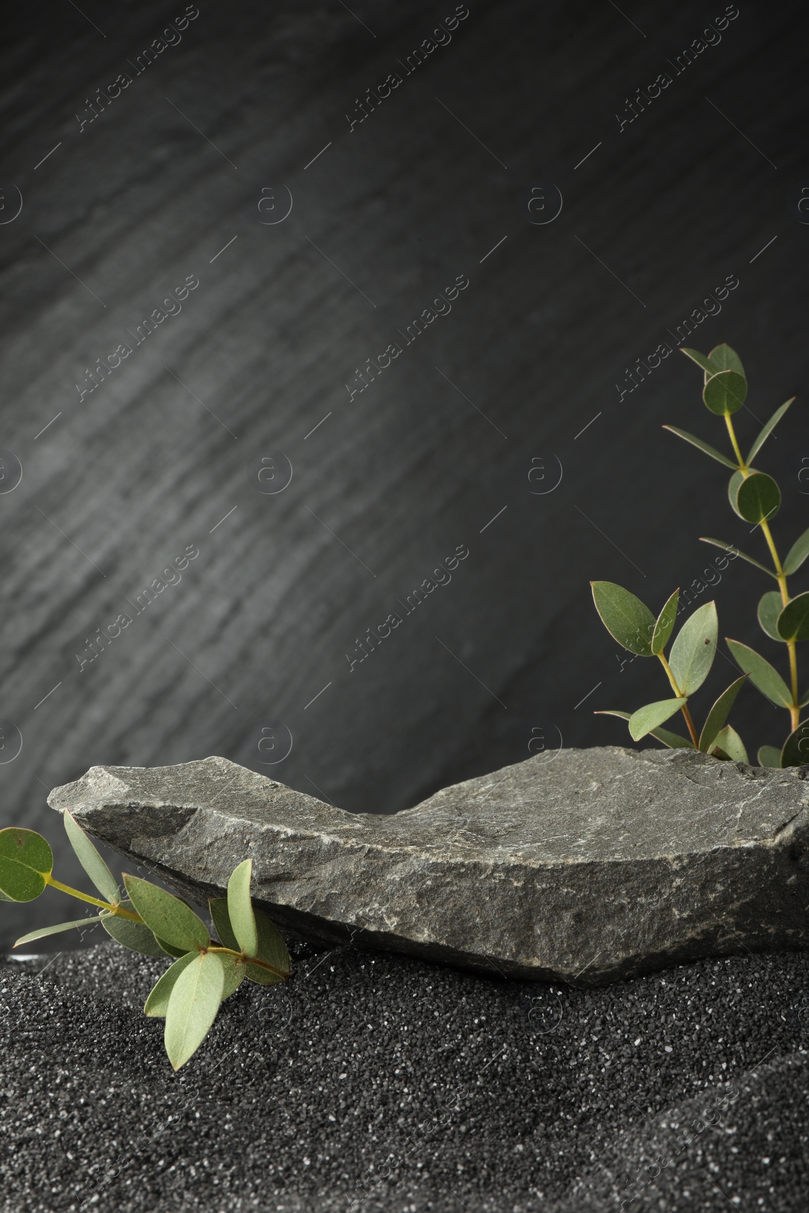 Photo of Presentation of product. Stone podium and green branches on black sand against dark textured background. Space for text