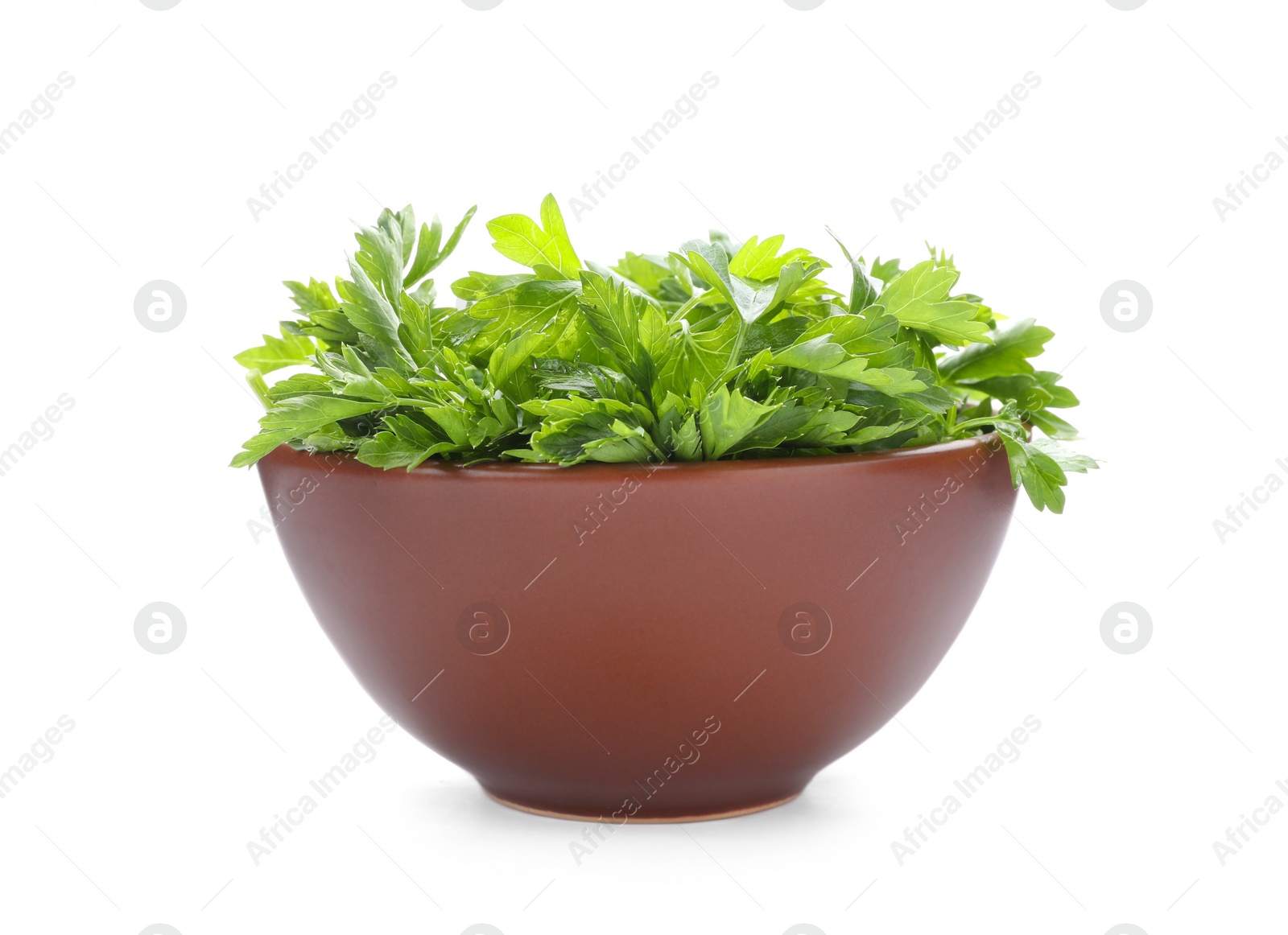 Photo of Bowl with fresh green parsley on white background