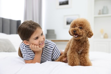 Photo of Little child and cute puppy on bed at home. Lovely pet