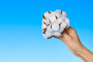 Photo of Woman holding cotton flowers against blue sky, closeup. Space for text