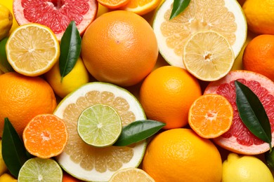 Photo of Different ripe citrus fruits with green leaves as background, top view