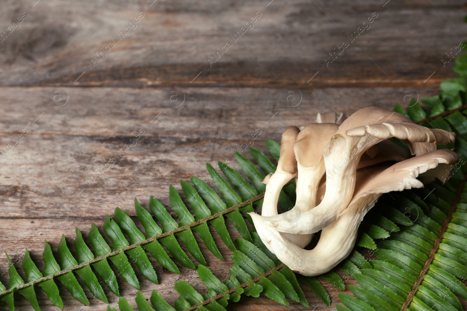 Photo of Delicious organic oyster mushrooms with leaves on wooden background, space for text