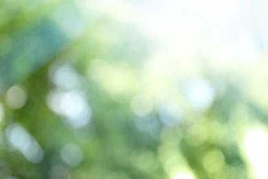 Photo of Blurred view of abstract green background. Bokeh effect