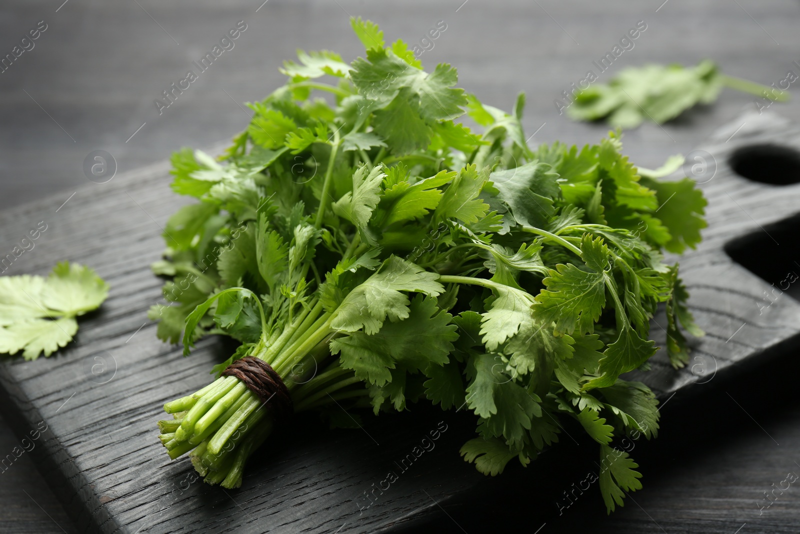Photo of Bunch of fresh coriander on black wooden table, closeup