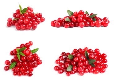 Set of fresh ripe cranberries on white background