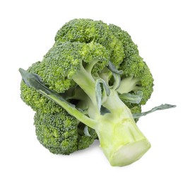 Photo of Fresh raw green broccoli isolated on white