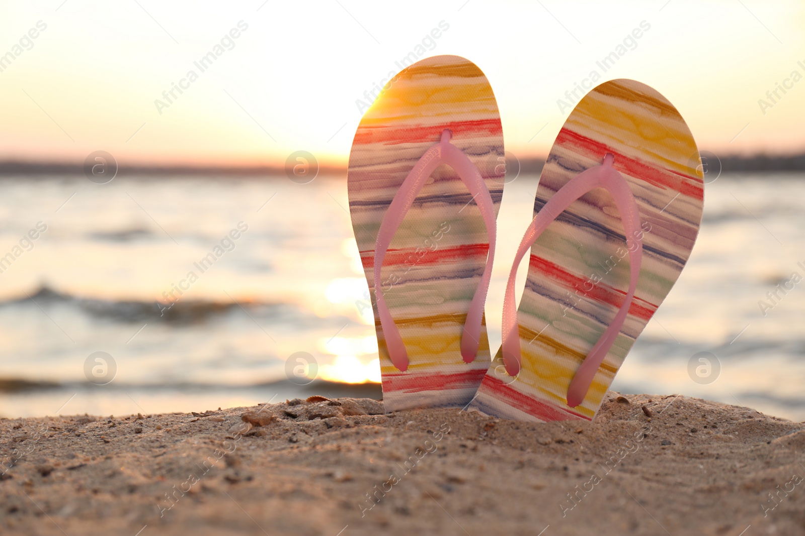 Photo of Stylish flip flops on sand near sea, space for text. Beach accessories