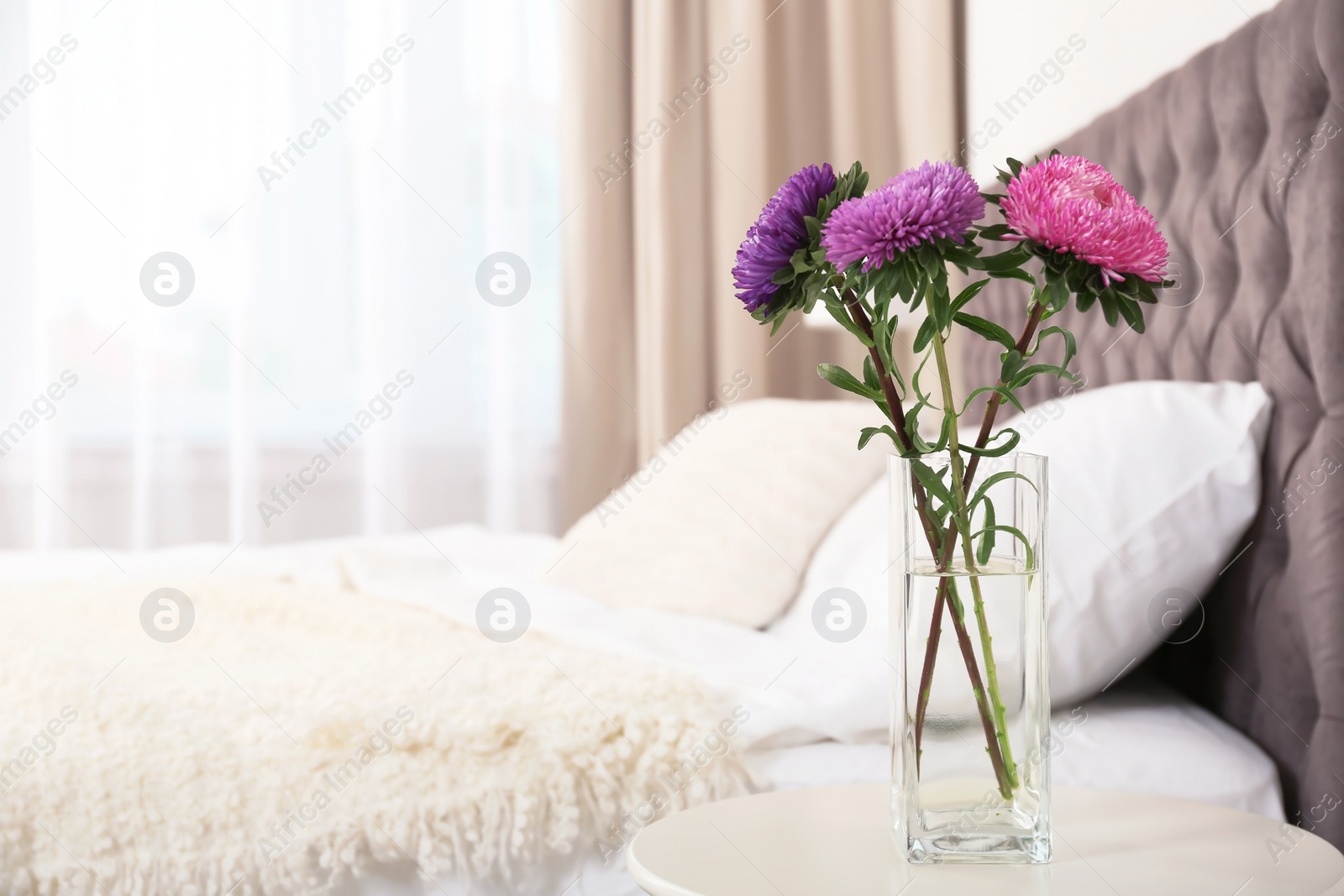 Photo of Beautiful flowers in vase and space for text on blurred background. Element of interior design