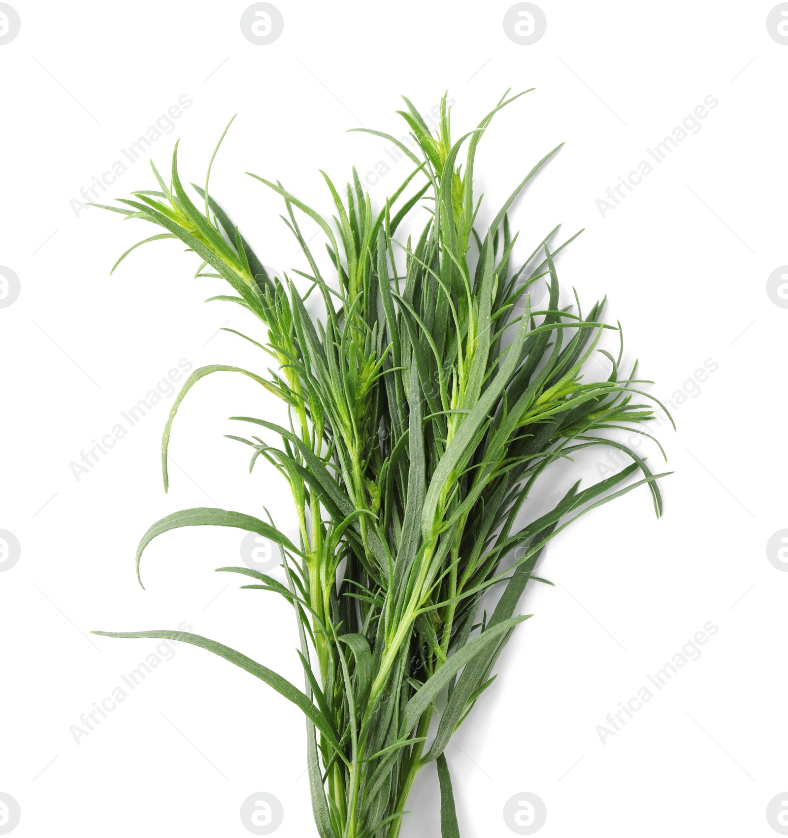Photo of Sprigs of fresh tarragon on white background, top view