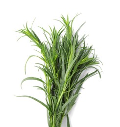 Sprigs of fresh tarragon on white background, top view