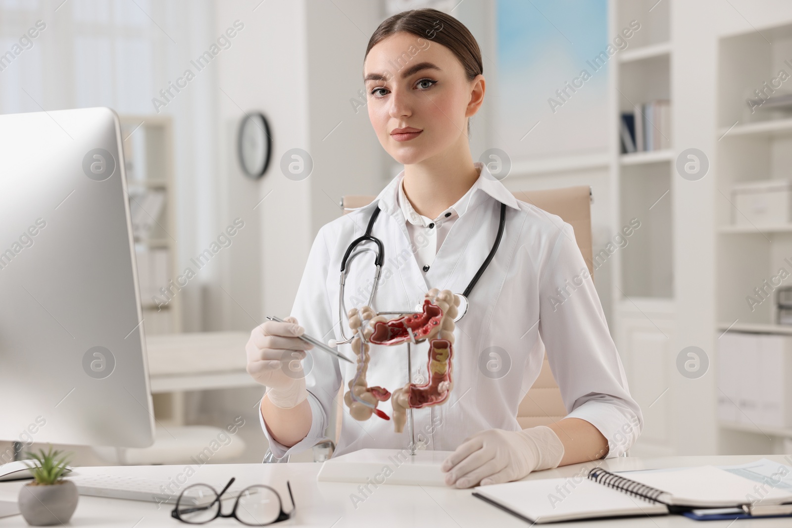 Photo of Gastroenterologist showing anatomical model of large intestine at table in clinic