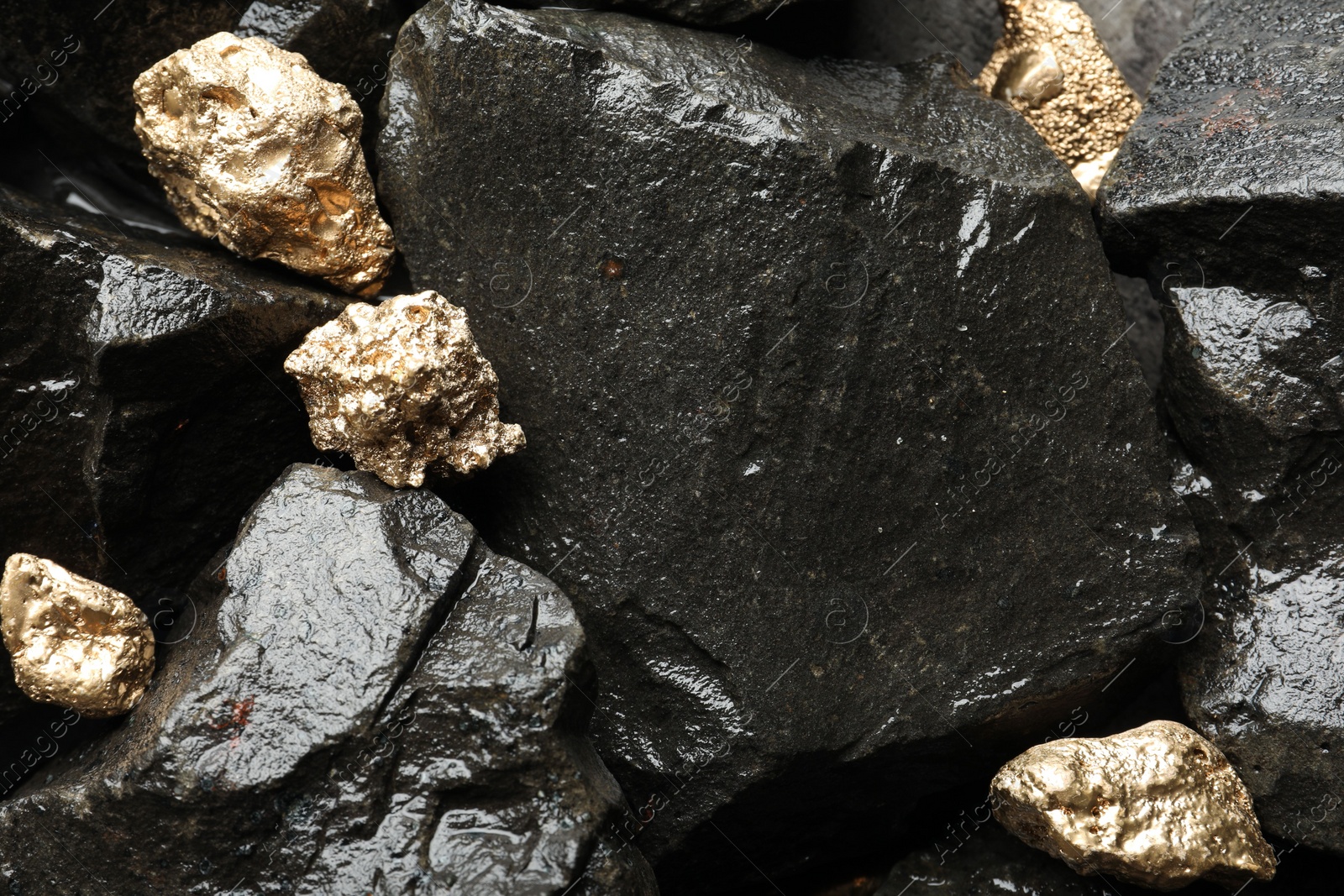 Photo of Shiny gold nuggets on wet stones, flat lay