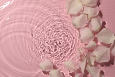 Beautiful rose petals in water on pink background, top view. Space for text