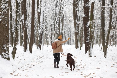 Woman with adorable Labrador Retriever dog running in snowy park, back view