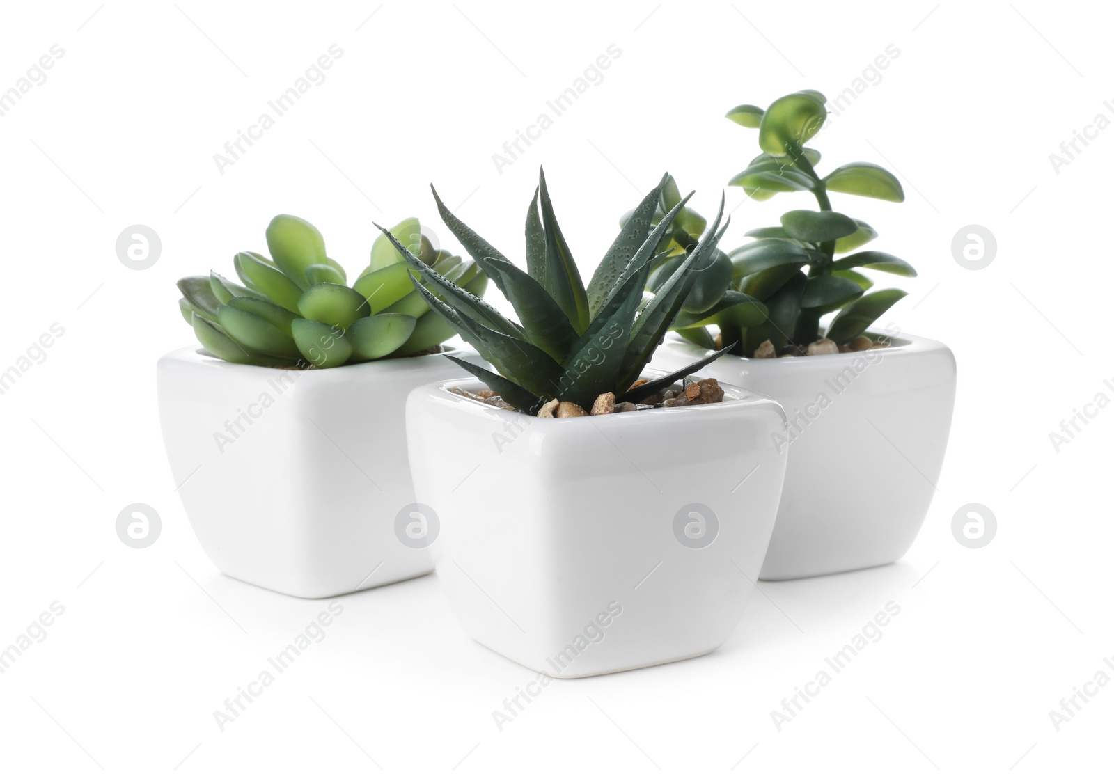 Photo of Beautiful artificial plants in flower pots isolated on white