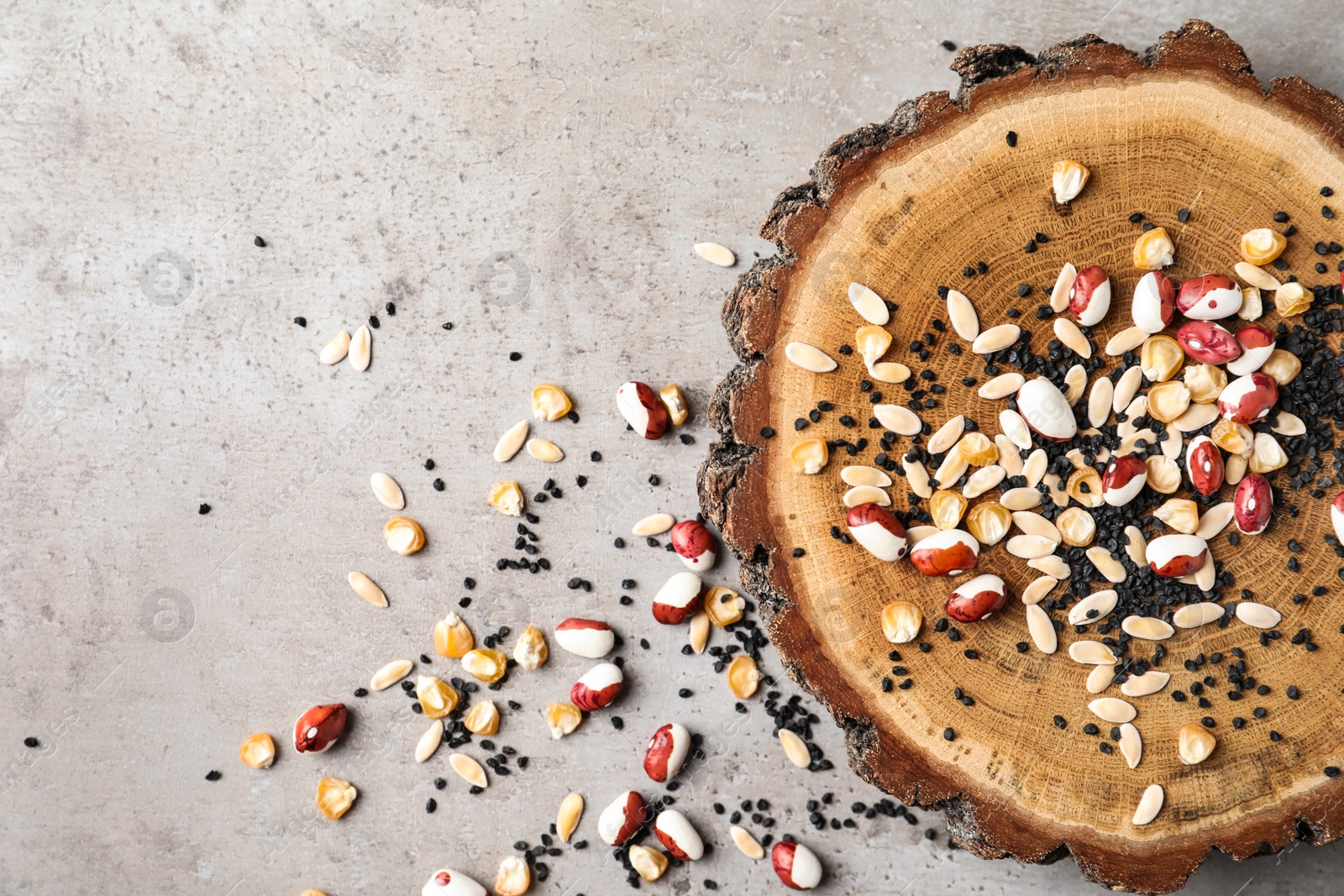 Photo of Mixed vegetable seeds and wooden log on grey background, flat lay