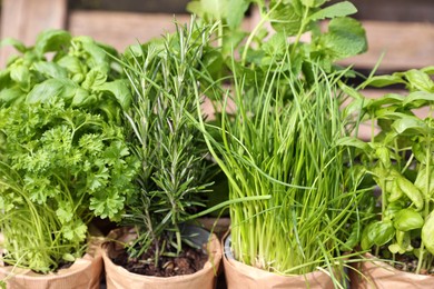 Photo of Different aromatic potted herbs on blurred background, closeup