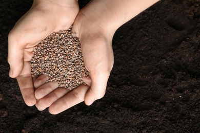 Woman holding pile of radish seeds over soil, top view with space for text. Vegetable planting