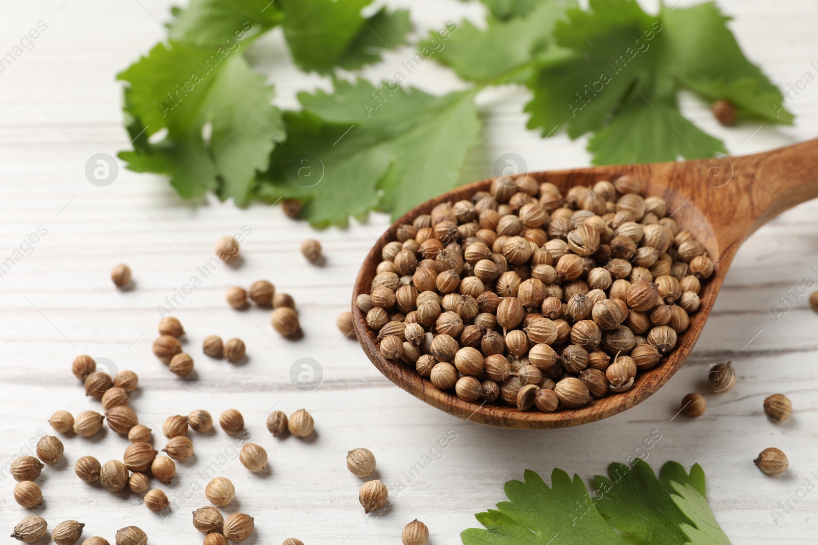 Photo of Spoon with dried coriander seeds and green leaves on wooden table, closeup