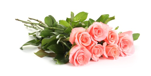 Bouquet of beautiful roses on white background