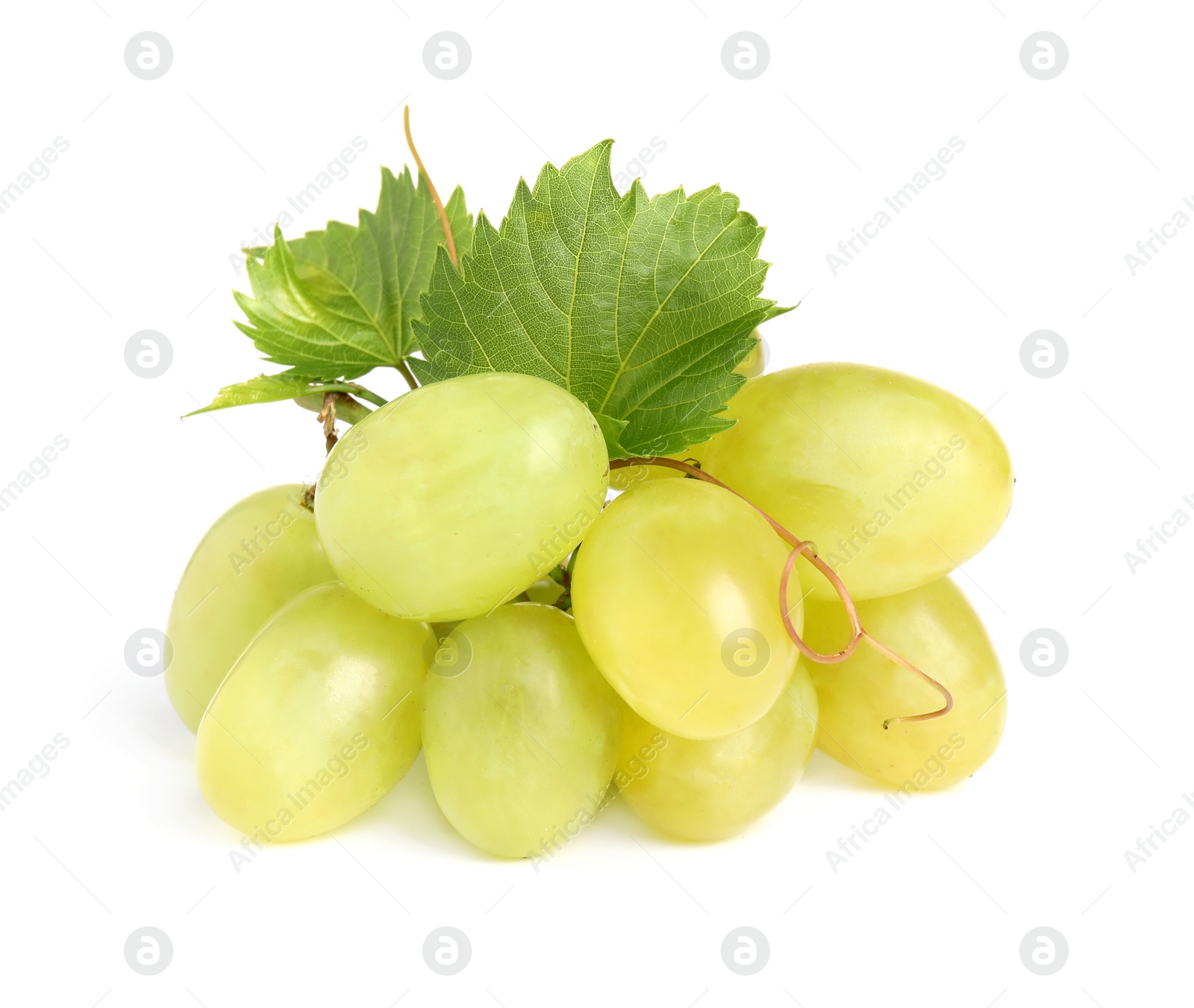 Photo of Fresh ripe juicy grapes isolated on white