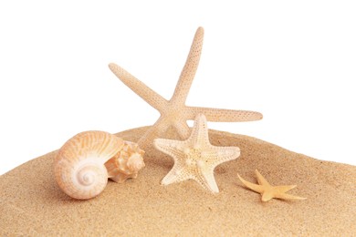 Photo of Sand with many beautiful sea stars and seashells isolated on white