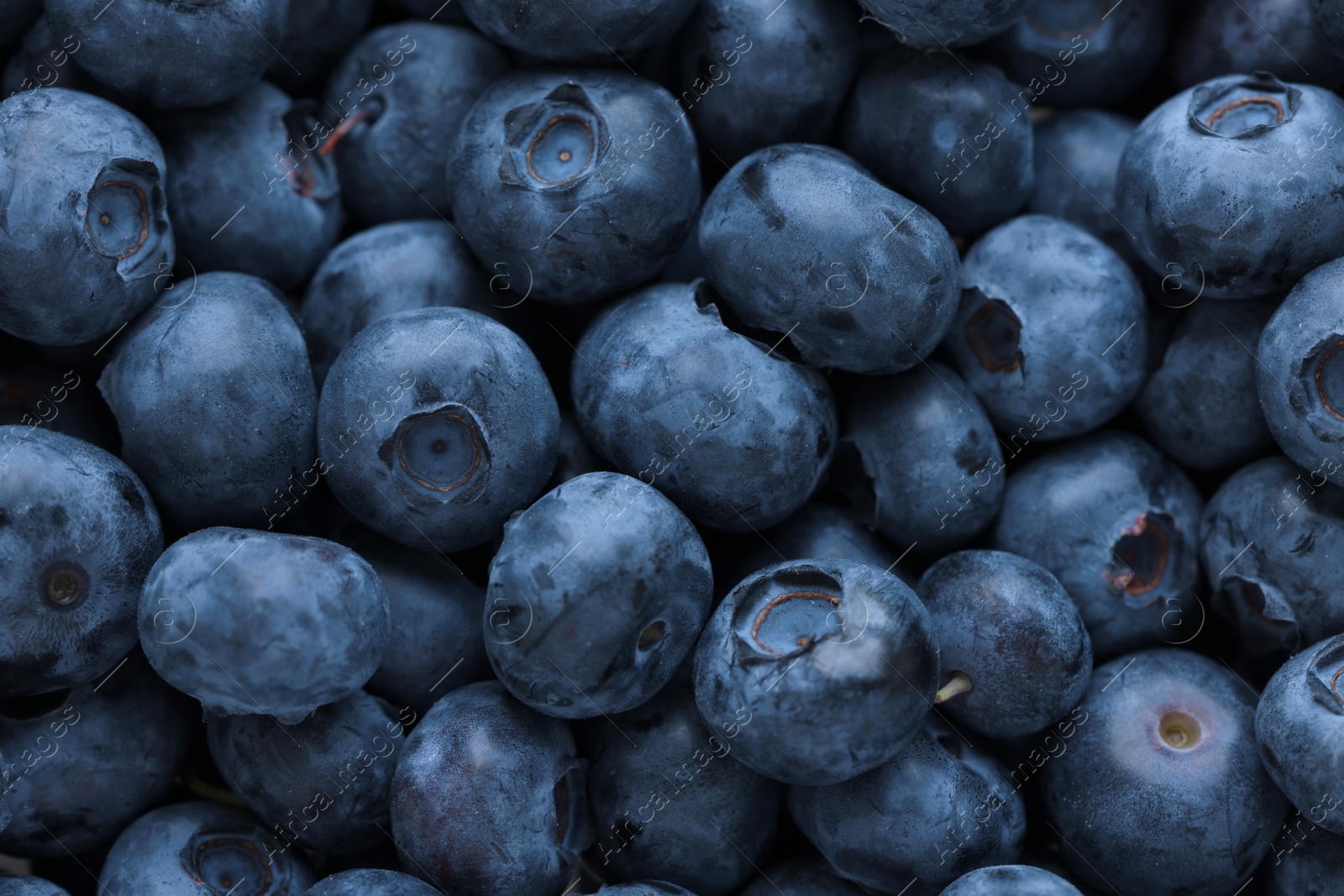 Photo of Fresh tasty blueberries as background, top view