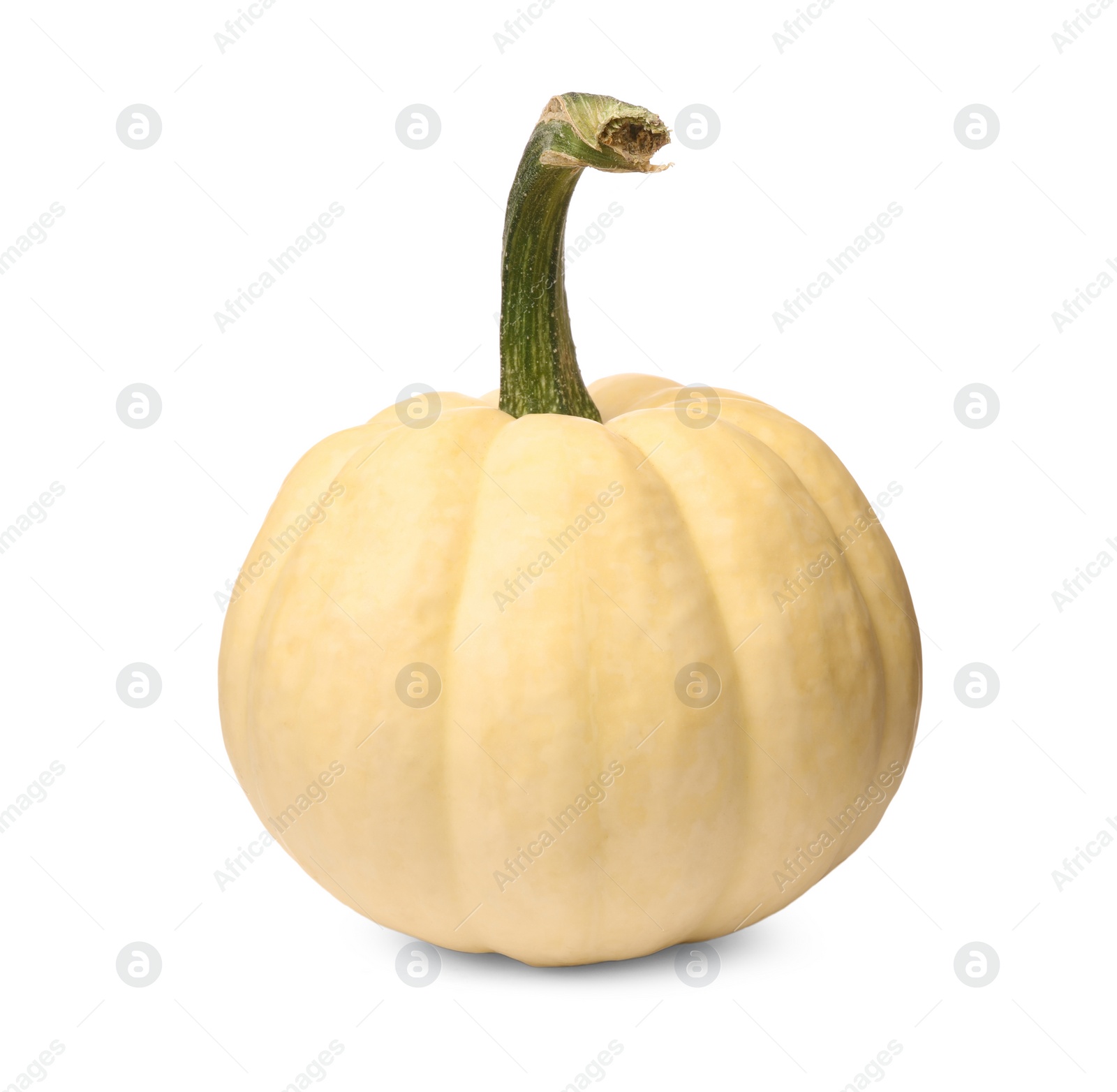 Photo of One whole ripe pumpkin isolated on white