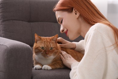 Photo of Woman stroking her cute cat in armchair at home