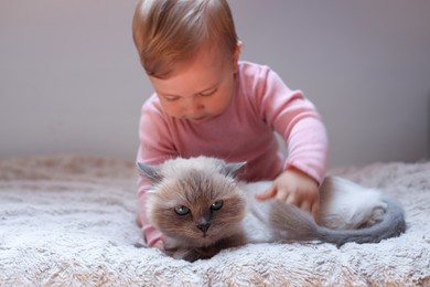 Adorable baby with cute cat on bed indoors