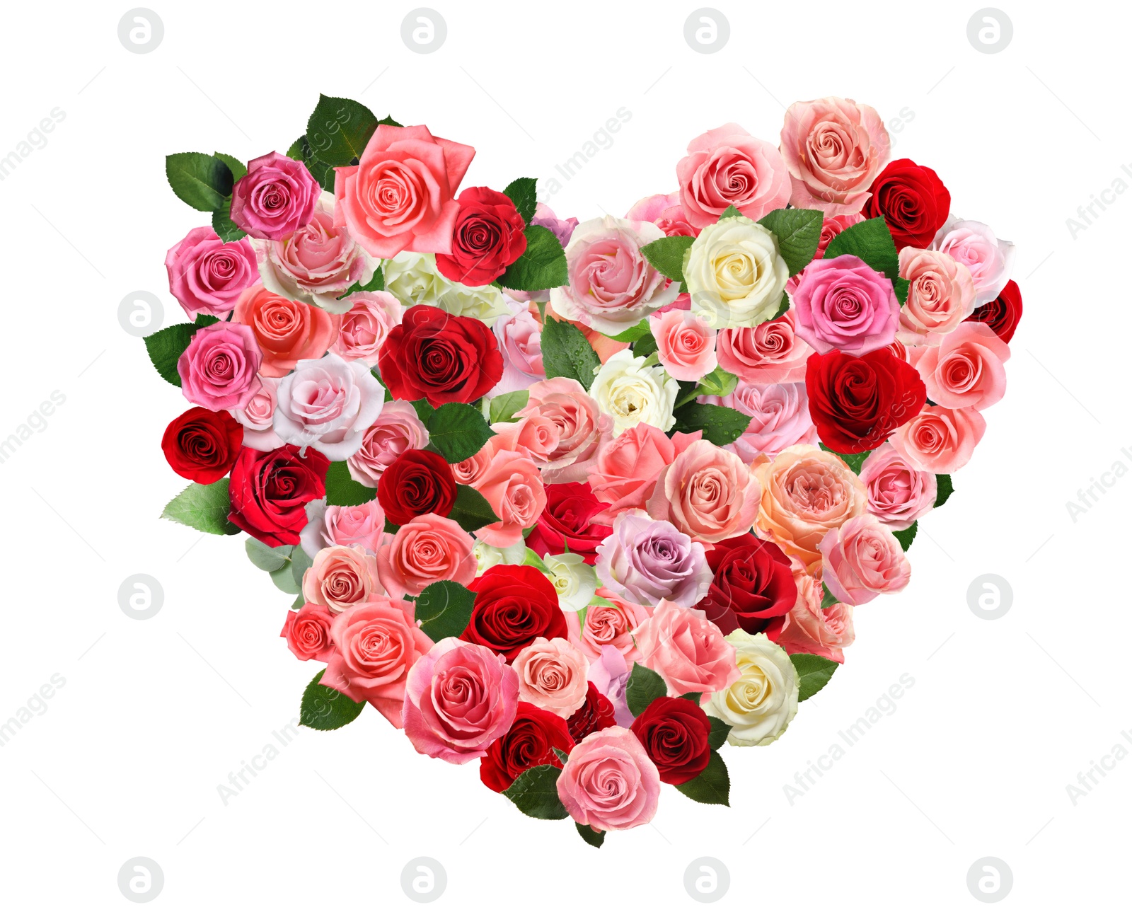 Image of Heart made of beautiful roses on white background