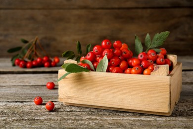 Photo of Fresh ripe rowan berries with green leaves on wooden table