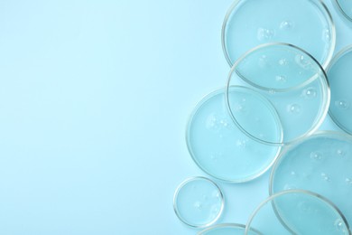Photo of Petri dishes with liquid samples on light blue background, flat lay. Space for text