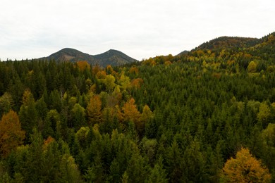 Image of Aerial view of beautiful mountain forest on autumn day