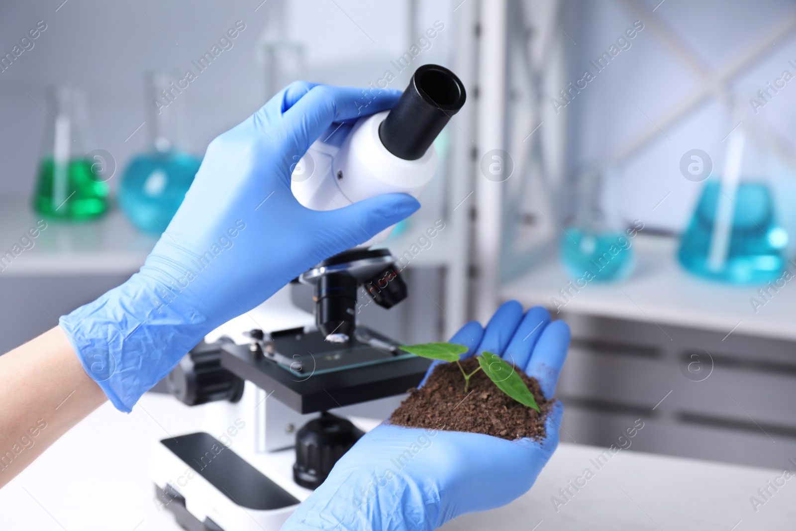 Photo of Scientist examining green plant with microscope in laboratory, closeup. Space for text